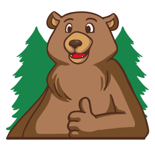 Papa Bear Car Wash favicon